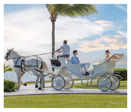 Newlyweds celebrating under fireworks